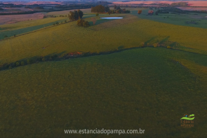 Fazenda Reconquista - Cachoeira do Sul.00_00_12_12.Quadro003_bd979a714c2bc18f0adb359c36a5679fa5b166b3.png
